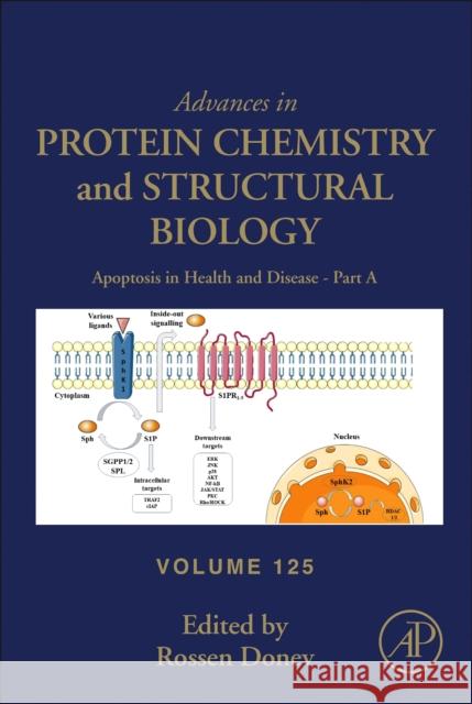 Apoptosis in Health and Disease - Part a: Volume 125 Donev, Rossen 9780323853156 Academic Press - książka