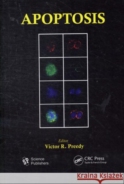 Apoptosis: Modern Insights Into Disease from Molecules to Man Preedy, Victor R. 9781578085835 Science Publishers - książka