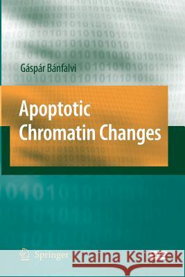 Apoptotic Chromatin Changes Gaspar Banfalvi 9789401777247 Springer - książka
