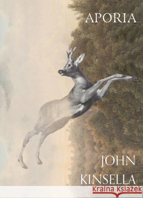 Aporia John Kinsella 9781885586285 Turtle Point Press - książka