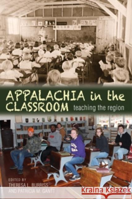 Appalachia in the Classroom: Teaching the Region Theresa L. Burriss Patricia M. Gantt 9780821420416 Ohio University Press - książka