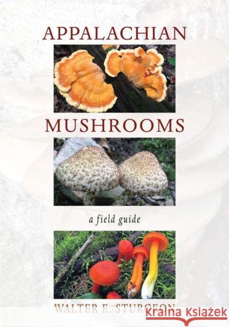 Appalachian Mushrooms: A Field Guide Walter Sturgeon 9780821423257 Ohio University Press - książka