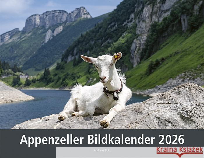 Appenzeller Bildkalender 2026  9783858829047 Appenzeller - książka