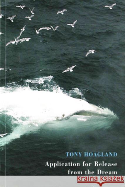 Application for Release from the Dream Tony Hoagland 9781780372983 Bloodaxe Books Ltd - książka