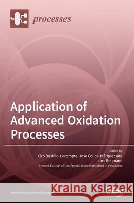 Application of Advanced Oxidation Processes Ciro Bustillo-LeCompte Jose Colina-M 9783039368884 Mdpi AG - książka
