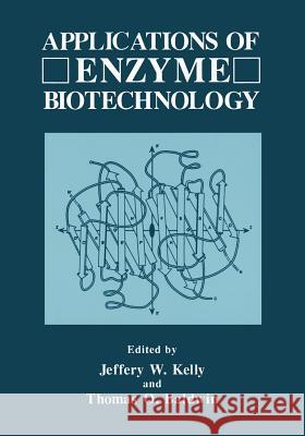 Applications of Enzyme Biotechnology Jeffrey W. Kelly Thomas O. Baldwin 9781475792379 Springer - książka