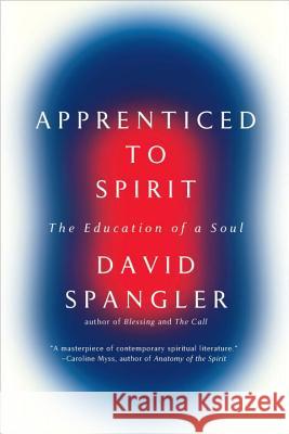 Apprenticed to Spirit: The Education of a Soul David Spangler 9781594485831 Riverhead Books - książka