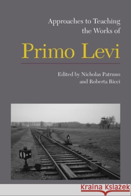 Approaches to Teaching the Works of Primo Levi Nicholas Patruno Roberta Ricci  9781603291477 Modern Language Association of America - książka