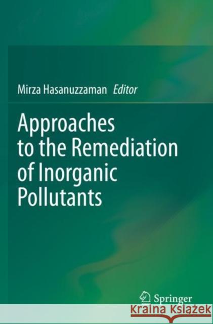 Approaches to the Remediation of Inorganic Pollutants  9789811562235 Springer Singapore - książka