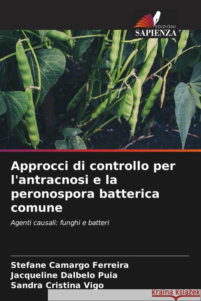 Approcci di controllo per l'antracnosi e la peronospora batterica comune Camargo Ferreira, Stefane, Dalbelo Puia, Jacqueline, Cristina Vigo, Sandra 9786207118854 Edizioni Sapienza - książka