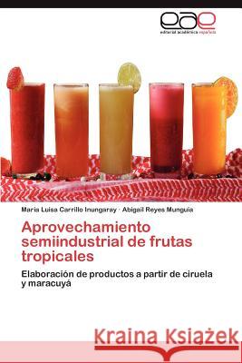 Aprovechamiento semiindustrial de frutas tropicales Carrillo Inungaray María Luisa 9783846562734 Editorial Acad Mica Espa Ola - książka