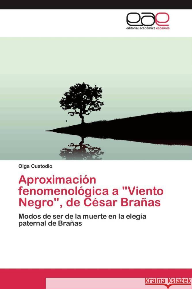 Aproximación fenomenológica a 