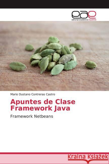 Apuntes de Clase Framework Java : Framework Netbeans Contreras Castro, Mario Dustano 9786202149242 Editorial Académica Española - książka