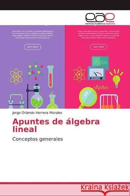 Apuntes de álgebra lineal : Conceptos generales Herrera Morales, Jorge Orlando 9786200039361 Editorial Académica Española - książka