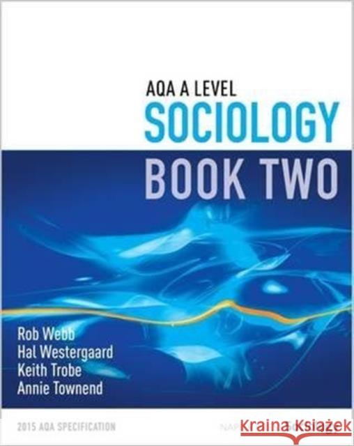 AQA A Level Sociology Annie Townend 9780954007928 Napier Press - książka