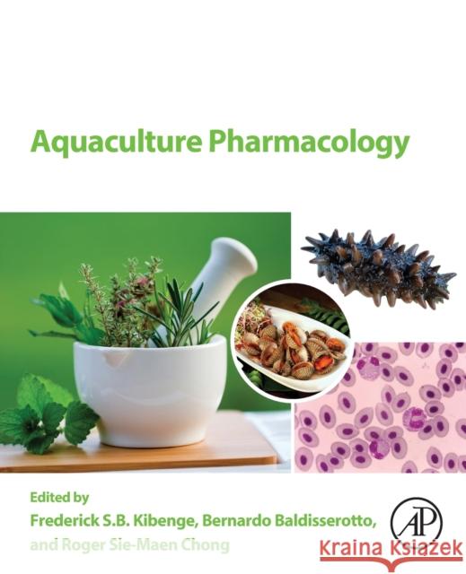 Aquaculture Pharmacology Frederick S. B. Kibenge Bernardo Baldisserotto Chong 9780128213391 Academic Press - książka