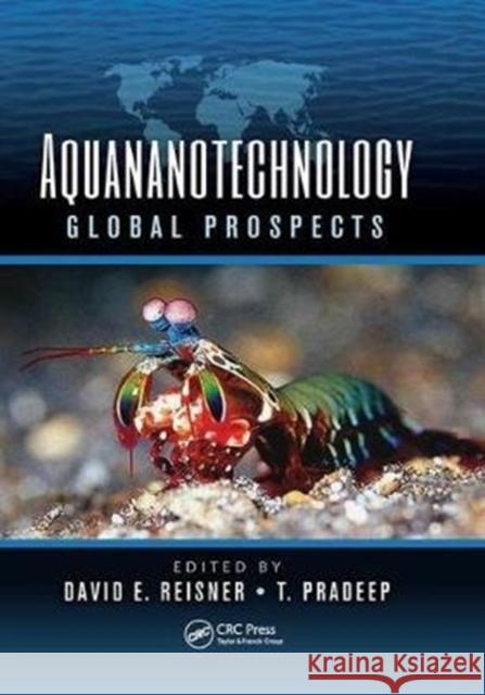 Aquananotechnology: Global Prospects  9781138073098  - książka