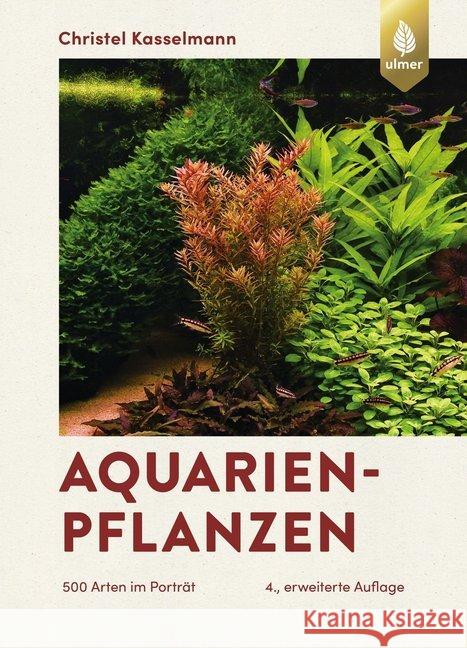 Aquarienpflanzen : 500 Arten im Porträt Kasselmann, Christel 9783818606992 Verlag Eugen Ulmer - książka