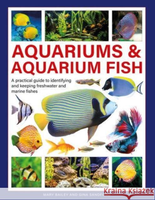 Aquariums & Aquarium Fish: A practical guide to identifying and keeping freshwater and marine fishes Gina Sandford 9780754835585 Anness Publishing - książka