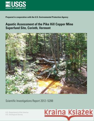 Aquatic Assessment of the Pike Hill Copper Mine Superfund Site, Corinth, Vermont Nadine M. Piatak Denise M. Argue Robert R. Seal 9781500221546 Createspace - książka