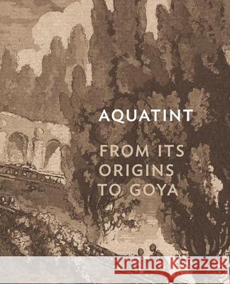 Aquatint: From Its Origins to Goya Rena M. Hoisington 9780691229799 Princeton University Press - książka