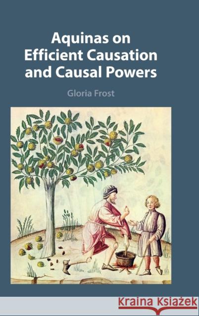 Aquinas on Efficient Causation and Causal Powers Gloria (University of St Thomas, Minnesota) Frost 9781009225427 Cambridge University Press - książka