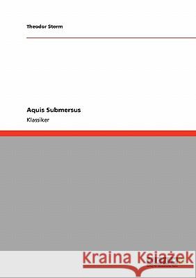 Aquis Submersus Theodor Storm 9783640227877 Grin Verlag - książka