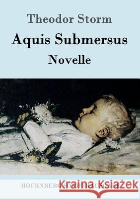 Aquis Submersus: Novelle Storm, Theodor 9783861997603 Hofenberg - książka