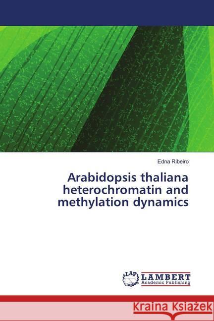 Arabidopsis thaliana heterochromatin and methylation dynamics Ribeiro, Edna 9786139872671 LAP Lambert Academic Publishing - książka