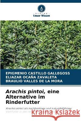 Arachis pintoi, eine Alternative im Rinderfutter Epigmenio Castill Eliazar Oca? Braulio Valle 9786205603611 Verlag Unser Wissen - książka