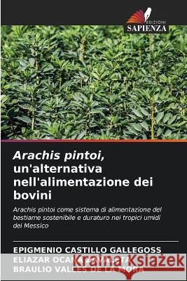 Arachis pintoi, un\'alternativa nell\'alimentazione dei bovini Epigmenio Castill Eliazar Oca? Braulio Valle 9786205603734 Edizioni Sapienza - książka