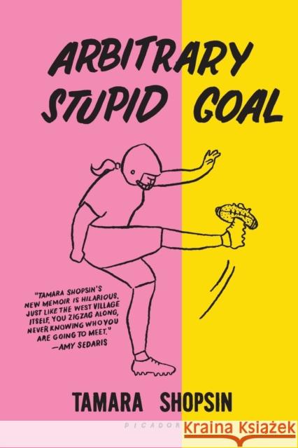 Arbitrary Stupid Goal Tamara Shopsin 9781250183910 Picador USA - książka