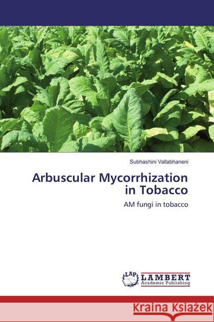 Arbuscular Mycorrhization in Tobacco : AM fungi in tobacco Vallabhaneni, Subhashini 9783659804298 LAP Lambert Academic Publishing - książka