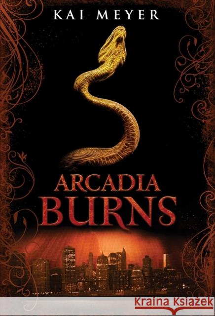 Arcadia Burns Kai Meyer 9781848776401  - książka