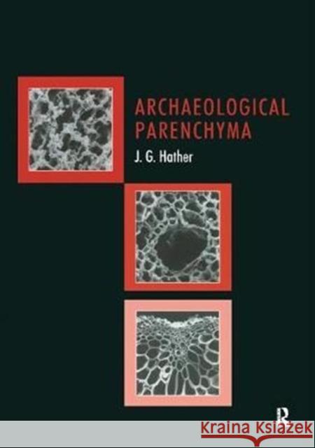 Archaeological Parenchyma Jon G Hather 9781138405011 Taylor and Francis - książka