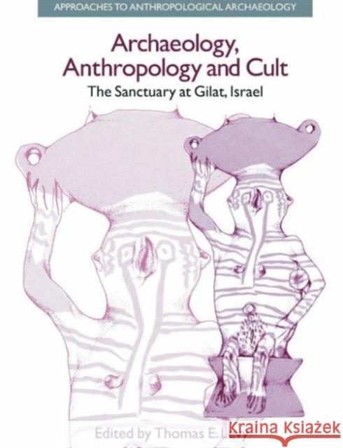 Archaeology, Anthropology and Cult: The Sanctuary at Gilat, Israel Levy, Thomas Evan 9781904768586 Equinox Publishing (UK) - książka