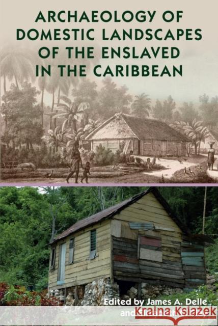 Archaeology of Domestic Landscapes of the Enslaved in the Caribbean James A. Delle Elizabeth C. Clay 9781683400912 University of Florida Press - książka
