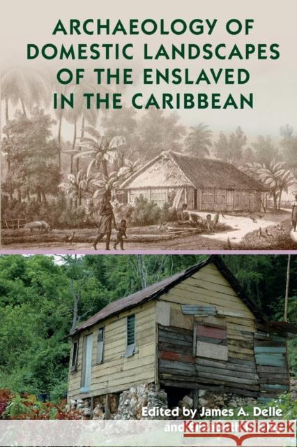 Archaeology of Domestic Landscapes of the Enslaved in the Caribbean James A. Delle Elizabeth C. Clay 9781683402695 University of Florida Press - książka