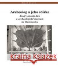 Archeolog a jeho sbírka Miloš Hlava 9788074225888 NLN - Nakladatelství Lidové noviny - książka