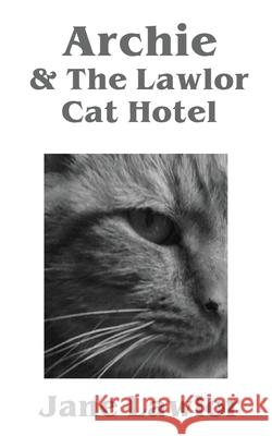 Archie & The Lawlor Cat Hotel Jane Lawlor 9781913136543 Clink Street Publishing - książka