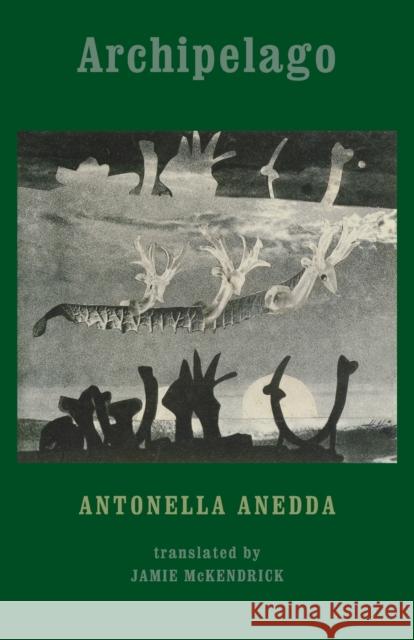 Archipelago Antonella Anedda 9781780371085 BLOODAXE BOOKS - książka