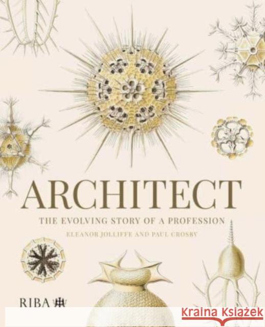 Architect: The Evolving Story of a Profession Jolliffe, Eleanor 9781914124853 RIBA Publishing - książka