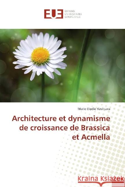 Architecture et dynamisme de croissance de Brassica et Acmella Vavitsara, Marie Elodie 9783841739728 Éditions universitaires européennes - książka
