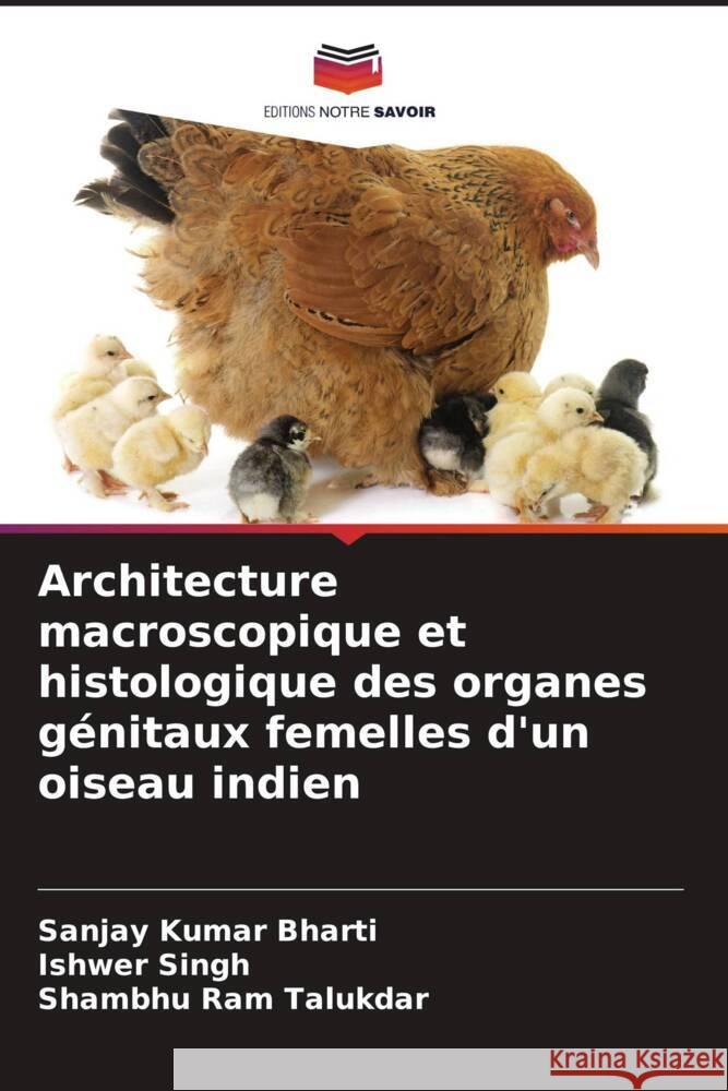 Architecture macroscopique et histologique des organes g?nitaux femelles d'un oiseau indien Sanjay Kumar Bharti Ishwer Singh Shambhu Ram Talukdar 9786208131098 Editions Notre Savoir - książka