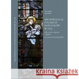 Archiwizacja polskich kościołów w USA. Dobra utracone, zagrożone i odzyskane. Studium przypadków Rolska Irena, Kęsik Jacek 9788366647619 TOWARZYSTWO NAUKOWE KUL - książka