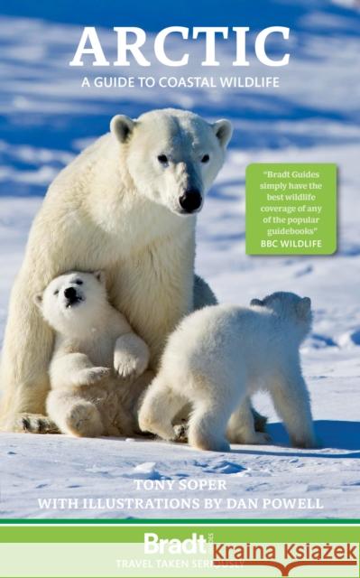 Arctic: A Guide to Coastal Wildlife Tony Soper 9781804693414 Bradt Travel Guides - książka
