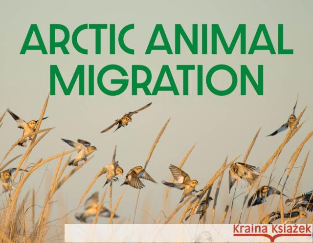 Arctic Animal Migration: English Edition Arvaaq Press 9781774506424 Arvaaq Press - książka