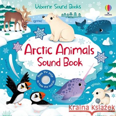 Arctic Animals Sound Book Sam Taplin Federica Iossa 9781805317760 Usborne Books - książka