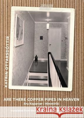 Are there copper pipes in heaven / ERU KOPARRØR Í HIMMIRÍKI Ottarsdottir, Katrin 9781946031594 Operating System - Glossarium: Unsilenced Tex - książka