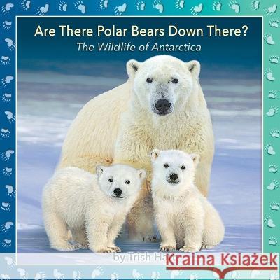Are There Polar Bears Down There?: The Wildlife of Antarctica Trish Hart Trish Hart  9780648011200 Hartpix Press - książka